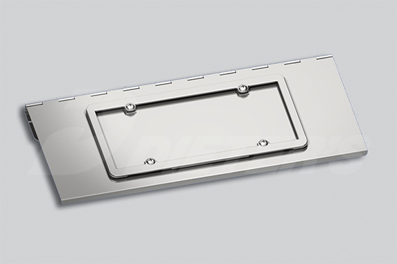 License Plate Swing Plate image